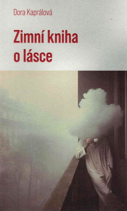 Zimní kniha o lásce
