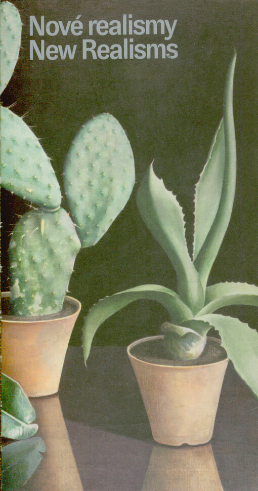Nové realismy : moderní realistické přístupy na československé výtvarné scéně = New realisms : modern realist approaches across the Czechoslovak art scene : 1918-1945