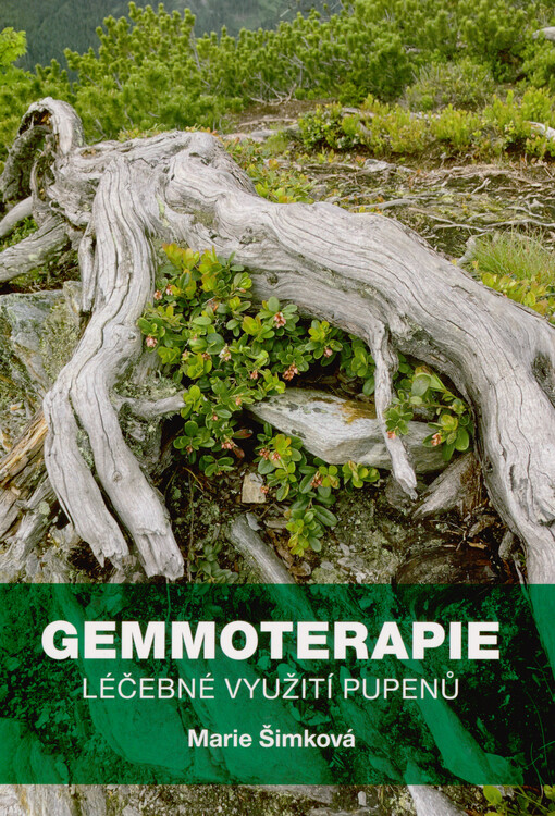 Gemmoterapie : léčebné využití pupenů