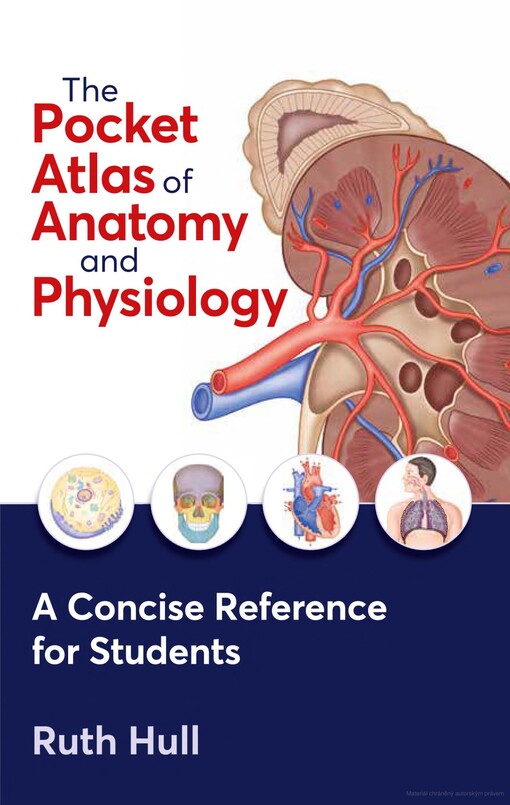 The pocket atlas of anatomy and physiology : a concise reference for students