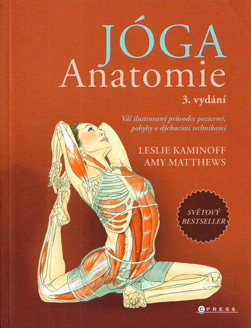 Jóga - anatomie