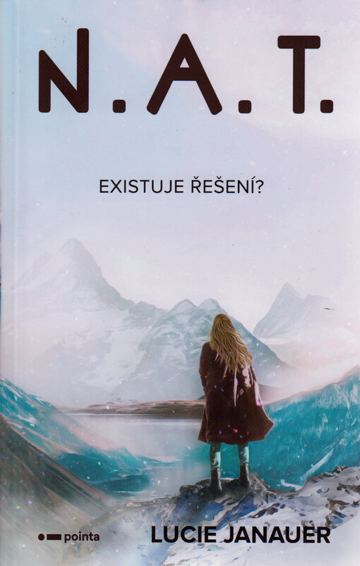 N.A.T. : existuje řešení?