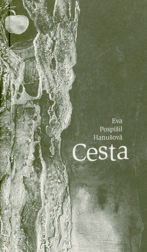 Cesta
