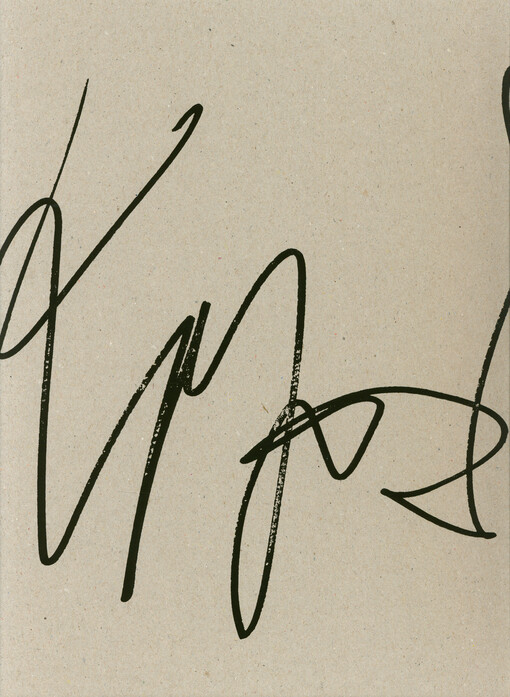 Vladimír Kopecký : prostoupení