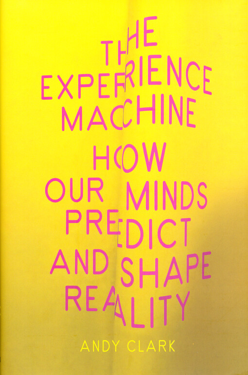 The experience machine : how our minds predict and shape reality