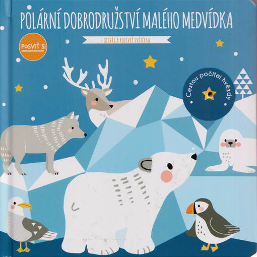 Polární dobrodružství malého medvídka : otevři a rozsviť světélka