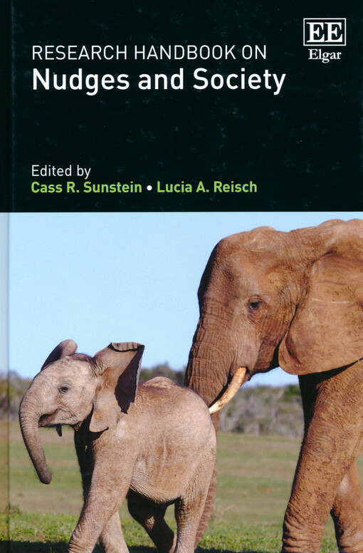 Research handbook on nudges and society