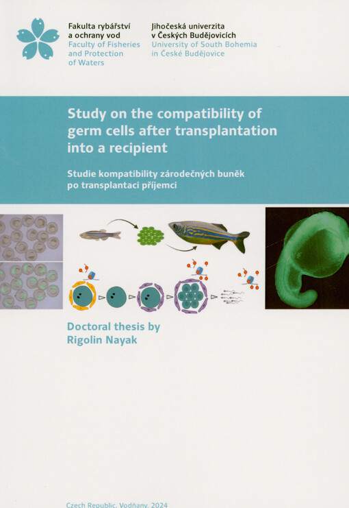 Study on the compatibility of germ cells after transplantation into a recipient = Studie kompatibility zárodečných buněk po transplantaci příjemci