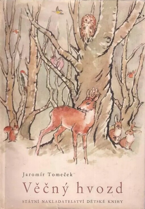 Věčný hvozd :Obrazy z hor