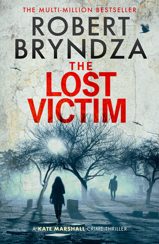 The lost victim : a Kate Marshall thriller