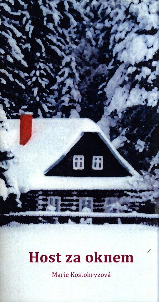 Host za oknem