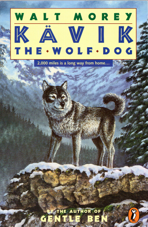 Kävik, the wolf dog