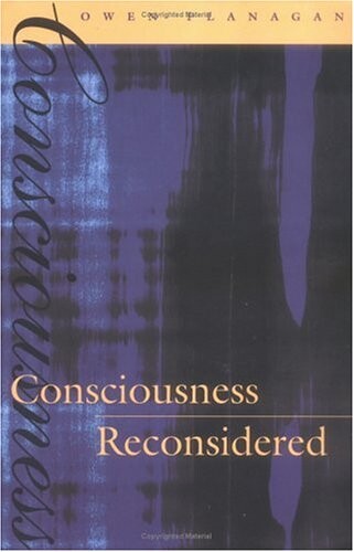 Consciousness reconsidered