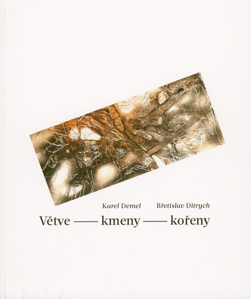 Větve - kmeny - kořeny