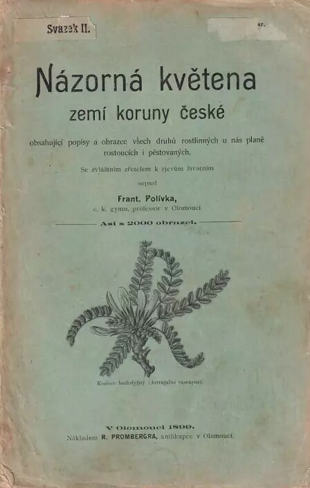 Názorná květena zemí koruny české obsahující též čelnější rostliny cizozemské, pěstované u nás pro užitek a okrasu.Svazek II,Rostliny prostoplátečné (Choripetalae)