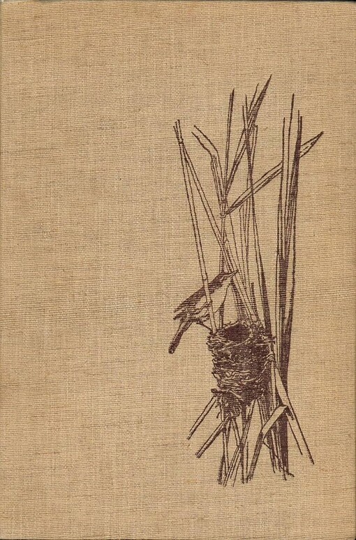 Geheimnisvolles Leben am Wasser