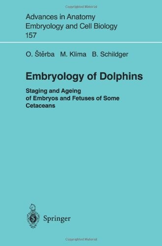 Embryology of dolphins : staging and ageing of embryos and fetuses of some cetaceans