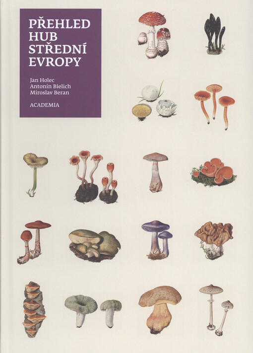 Přehled hub střední Evropy