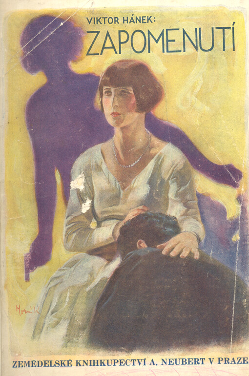 Zapomenutí : román
