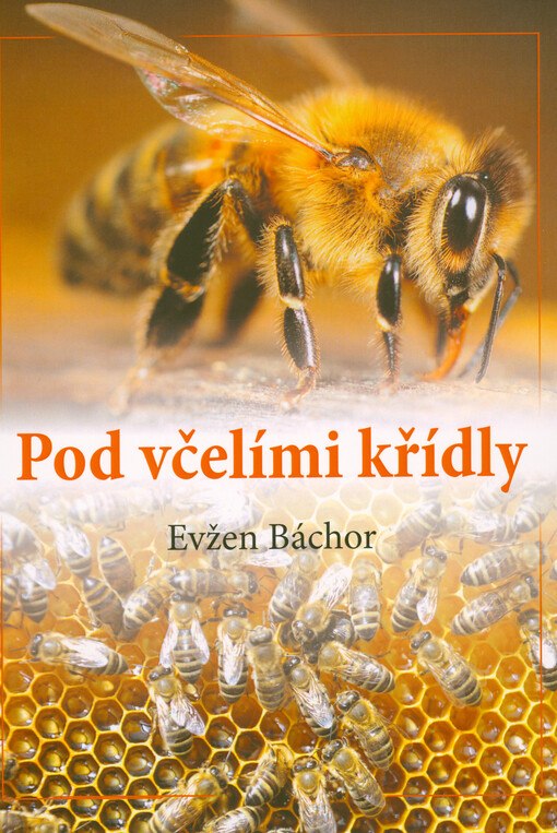 Pod včelími křídly
