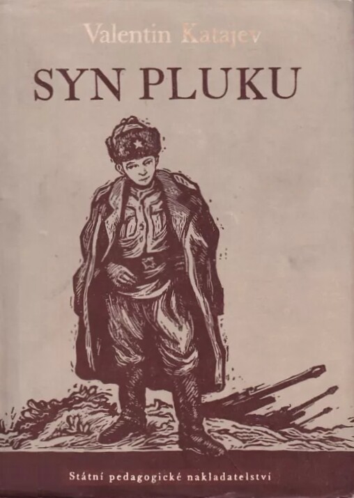 Syn pluku
