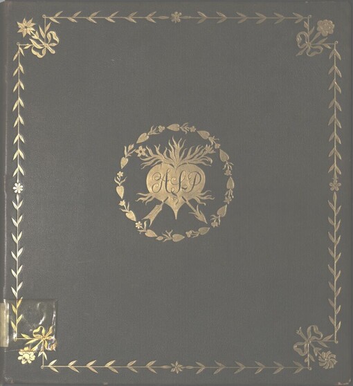 Jevgenij Oněgin: veršovaný román