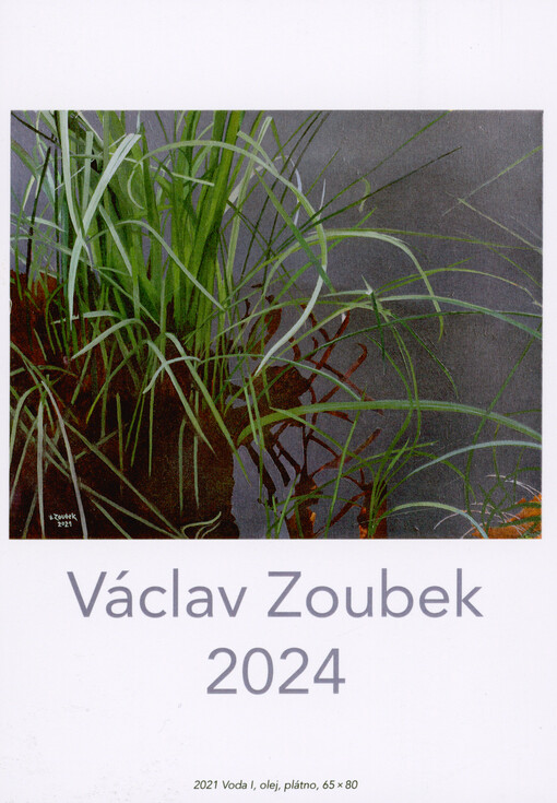 Václav Zoubek 2024