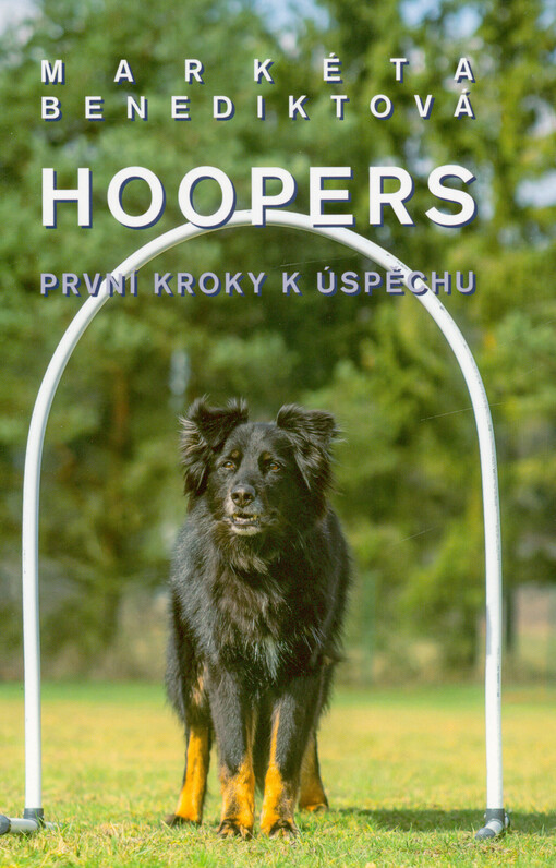 Hoopers : první kroky k úspěchu