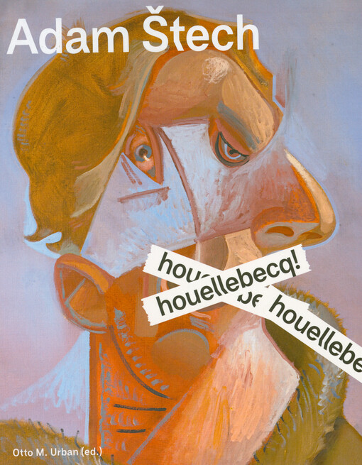 Adam Štech: houellebecq!