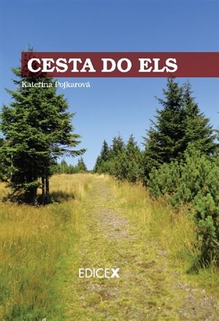 Cesta do Els