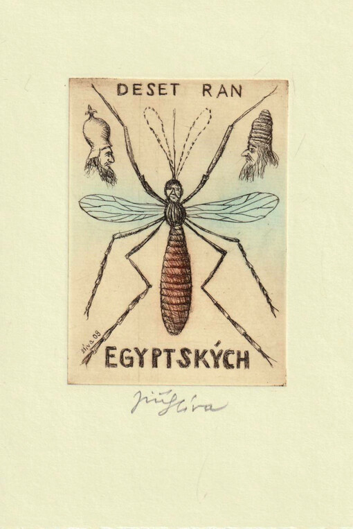 Rány egyptské : dvanáct leptů