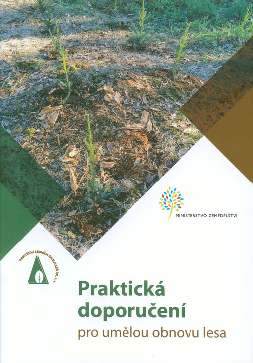 Praktická doporučení pro umělou obnovu lesa