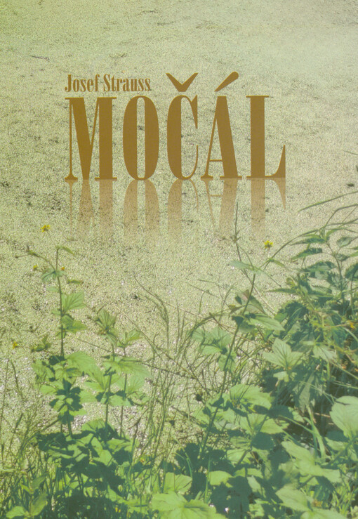 Močál