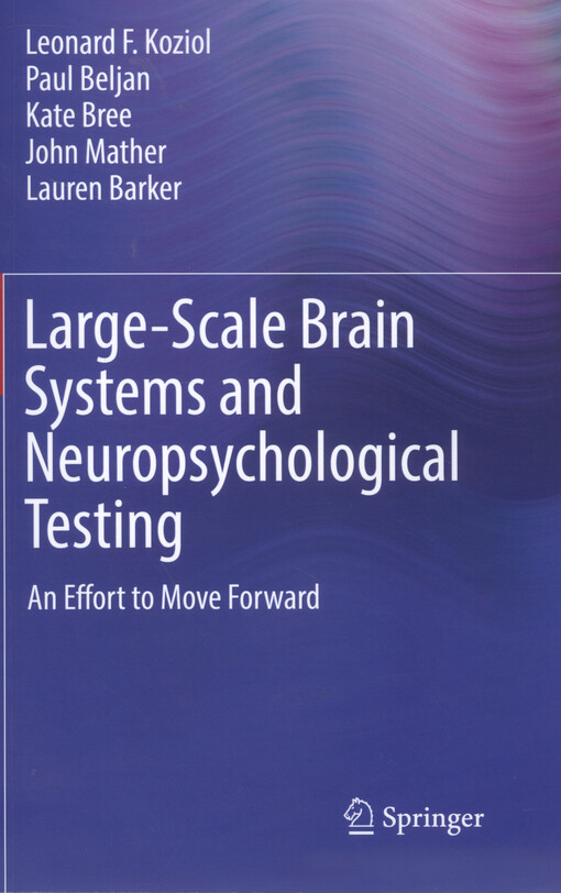 Large-scale brain systems and neuropsychological testing : an effort to move forward