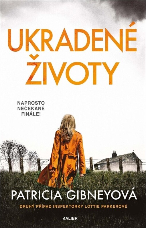 Ukradené životy / Patricia Gibneyová ; přeložila Lenka Faltejsková