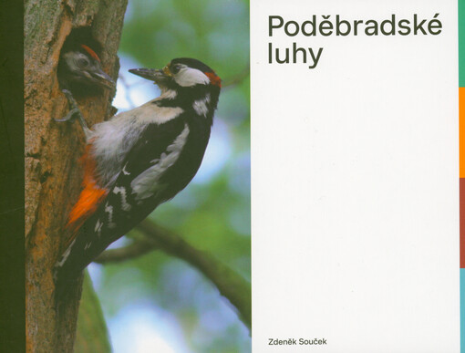 Poděbradské luhy
