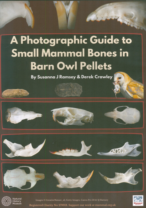 A photographic guide to small mammal bones in barn owl pellets