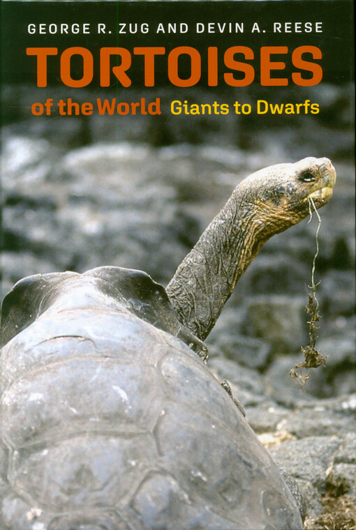 Tortoises of the world : giants to dwarfs