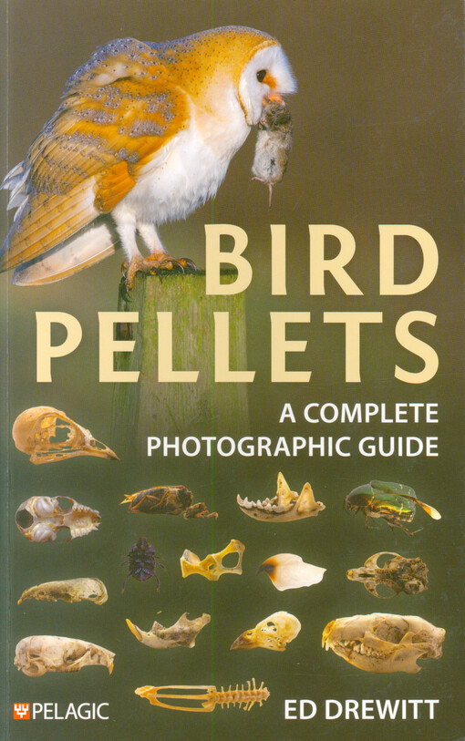 Bird pellets : a complete photographic guide