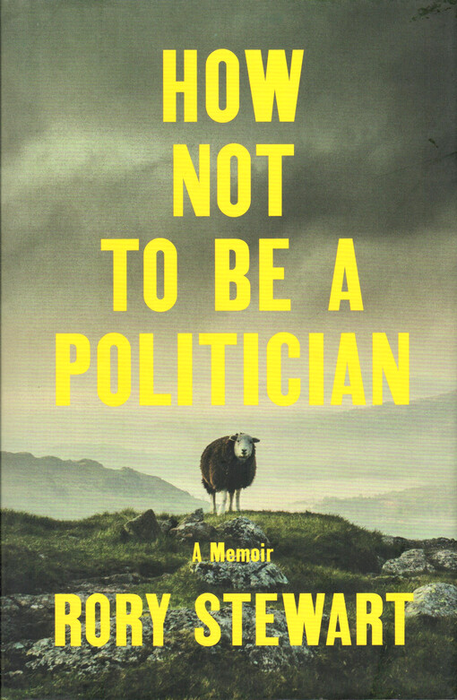 How not to be a politician : a memoir