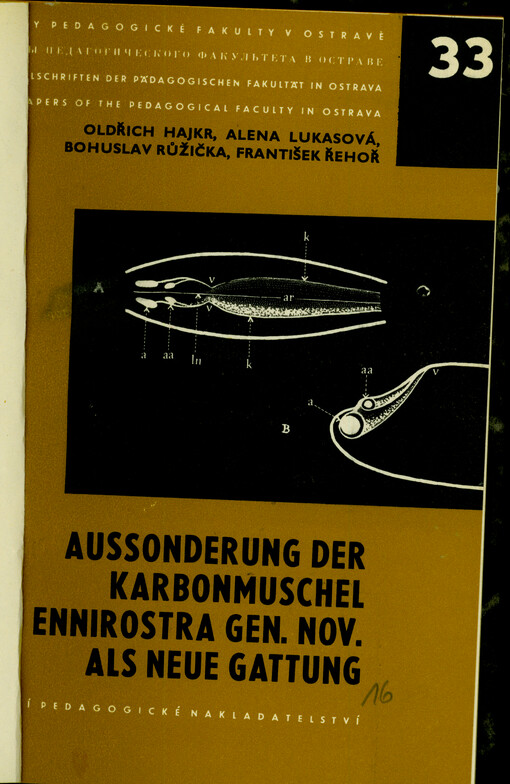 Aussonderung der Karbonmuschel Ennirostra gen. nov. als neue Gattung