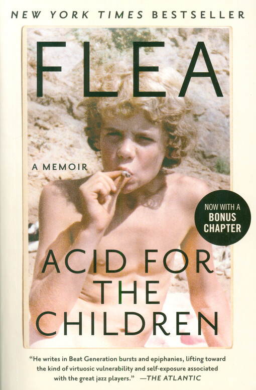 Acid for the children : a memoir