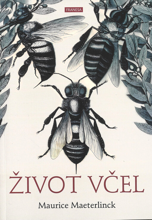 Život včel