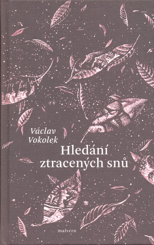 Hledání ztracených snů