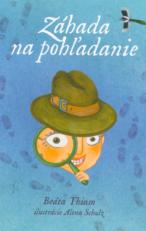 Záhada na pohľadanie