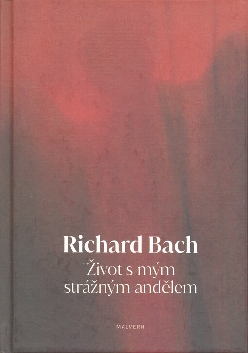 Život s mým strážným andělem