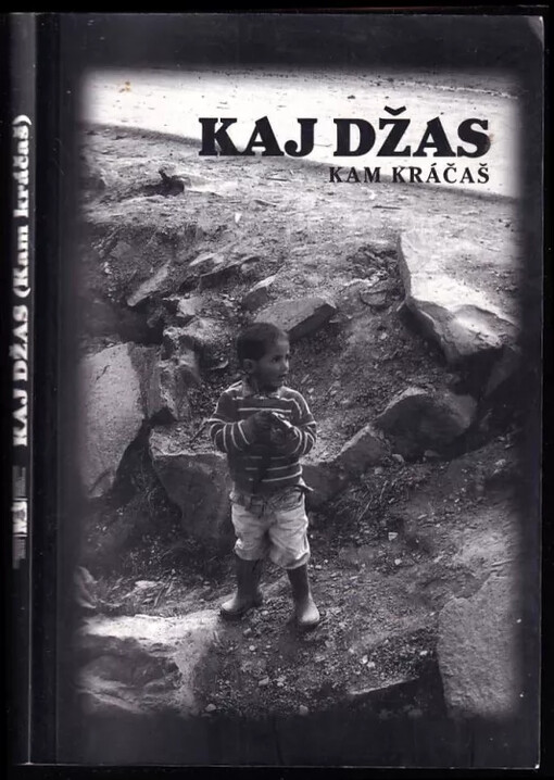 Kaj džas : súbor textov zo seminárneho cyklu S Rómami žiť budeme, ide o to ako--