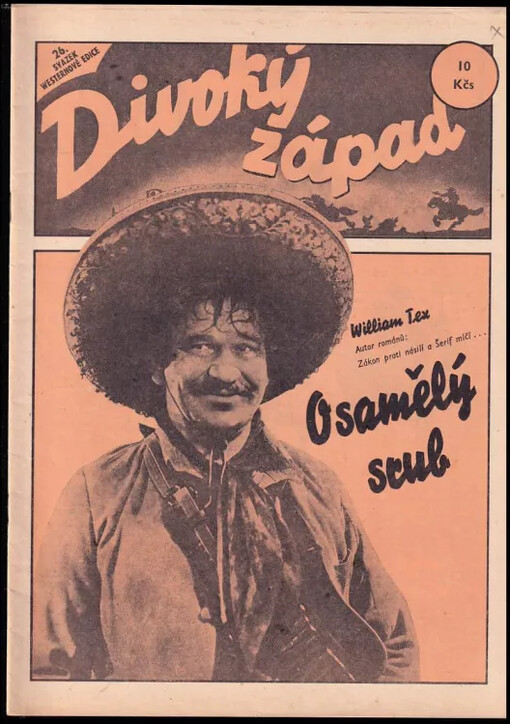 Osamělý srub