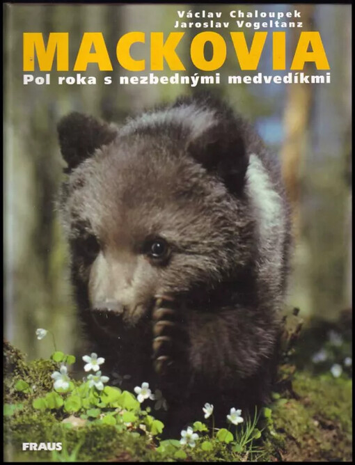 Mackoviá pol roka s nezbednými medvedíkmi