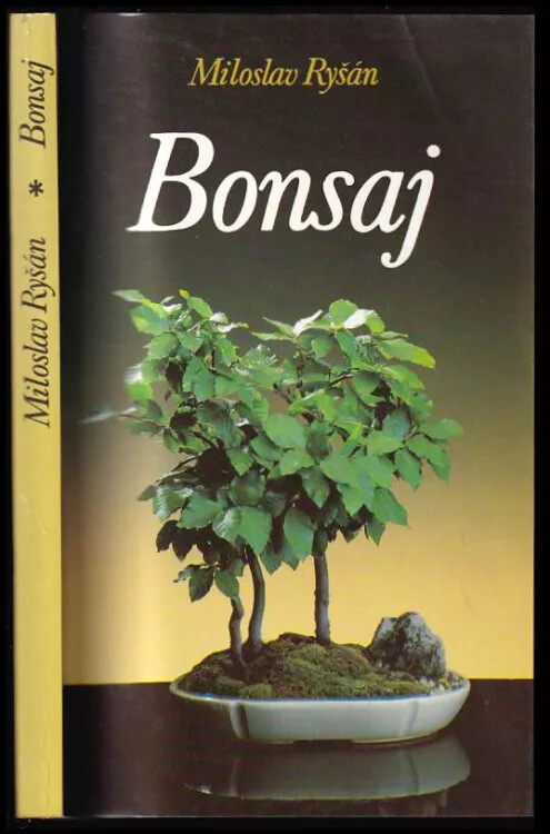 Bonsaj
